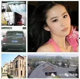 娱乐圈深度爆料第四,第四代明星崛起背后的秘密与风云  第3张